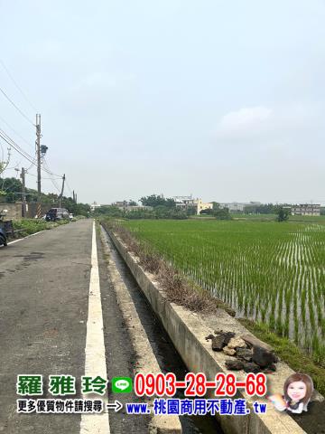 桃園新屋農地-5