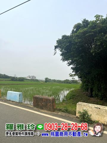 桃園新屋農地-6
