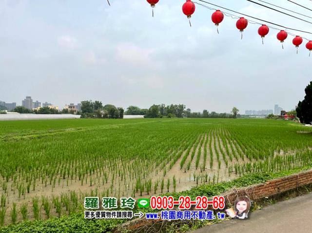 桃園八德農地-0