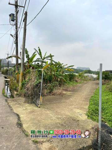 桃園八德農地-1