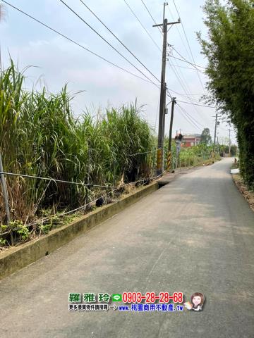 桃園八德農地-2