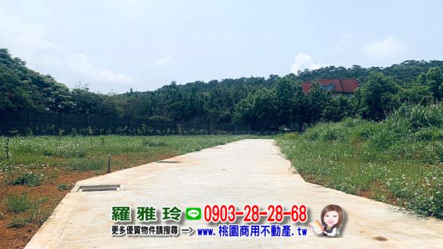 桃園平鎮農地-9