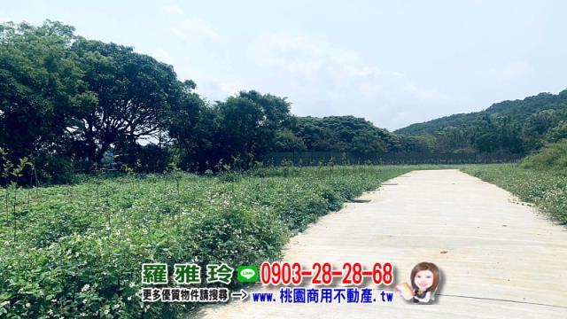 桃園平鎮農地-11