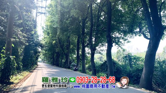 桃園平鎮農地-0