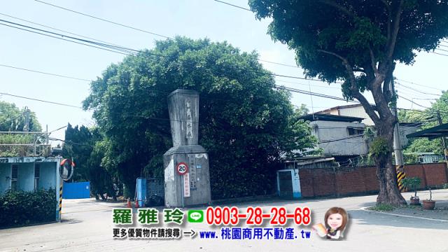 桃園平鎮農地-1