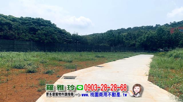 桃園平鎮農地-3