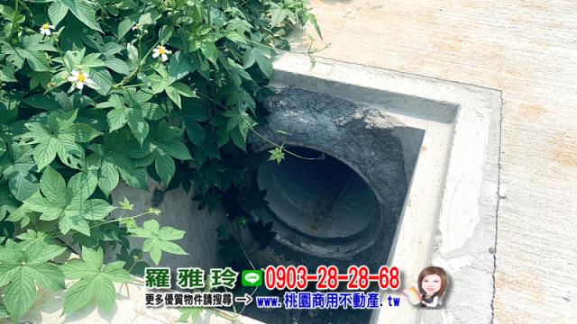 桃園平鎮農地-5
