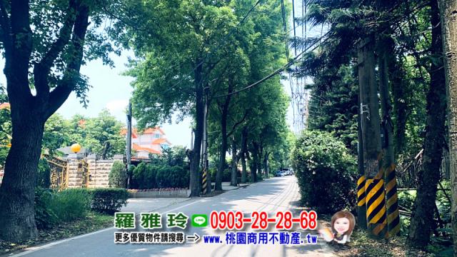 桃園平鎮農地-6