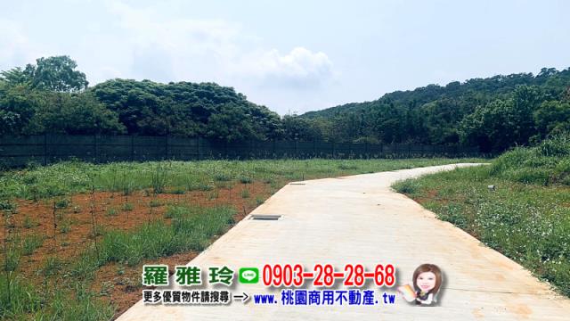 桃園平鎮農地-7
