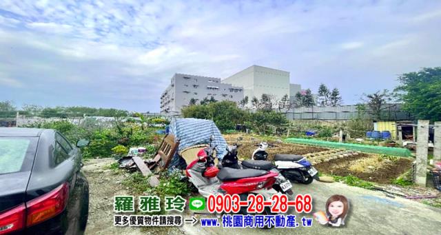 桃園大園工業地-1