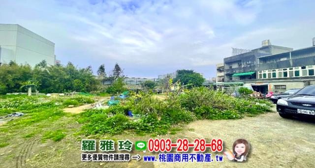 桃園大園工業地-2