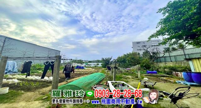 桃園大園工業地-3
