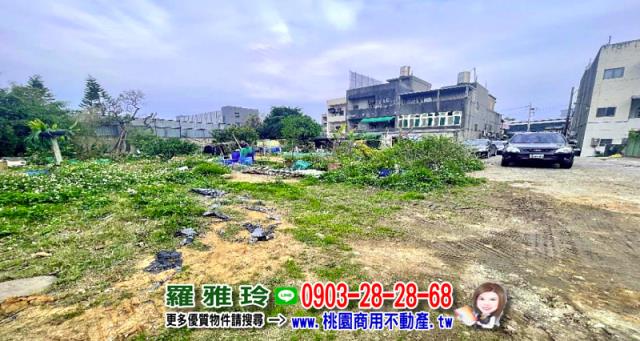 桃園大園工業地-4