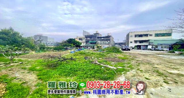 桃園大園工業地-5