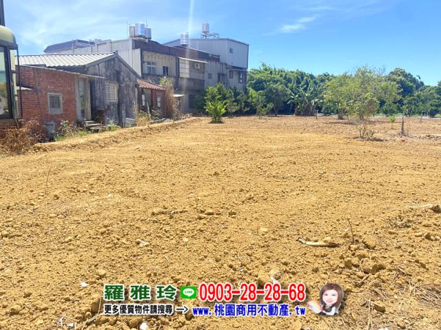 桃園平鎮農地-1