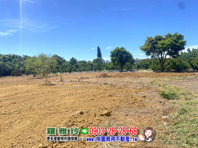 桃園平鎮農地-2