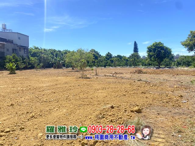 桃園平鎮農地-3