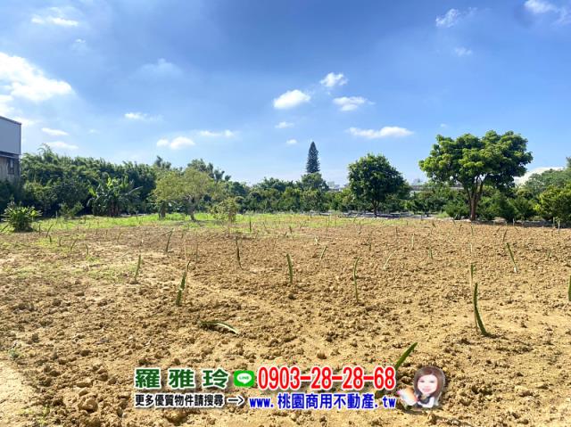 桃園平鎮農地-4