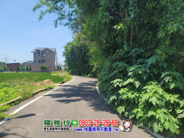 桃園新屋建地-3