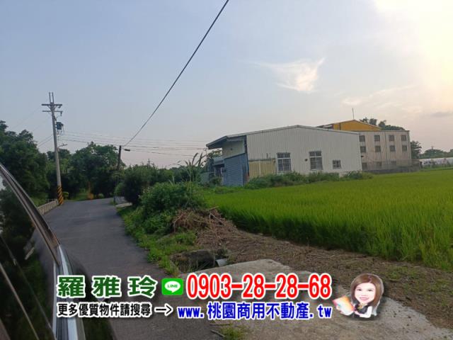 桃園中壢農地-0