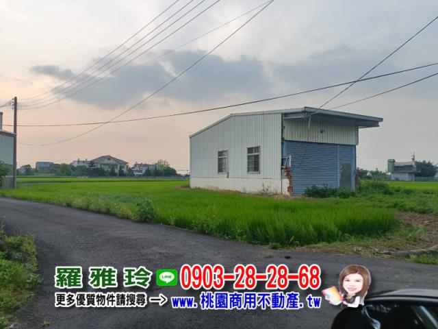 桃園中壢農地-3