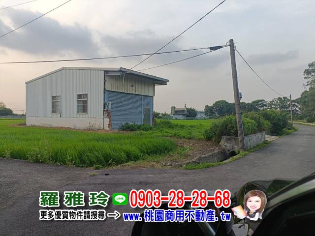 桃園中壢農地-4