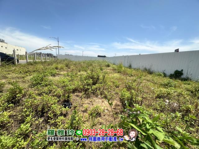 桃園中壢建地-3