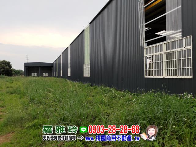 桃園新屋農地-3