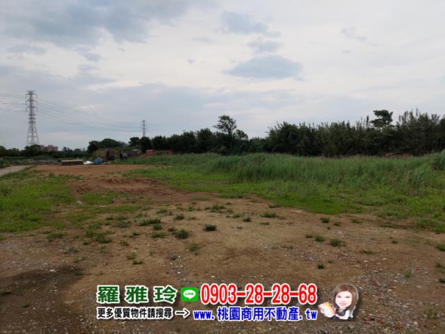 桃園新屋農地-4
