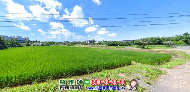 桃園平鎮農地-0