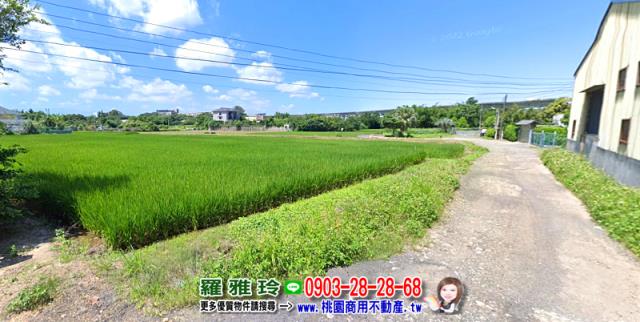 桃園平鎮農地-2