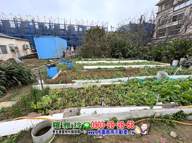 桃園觀音建地-10