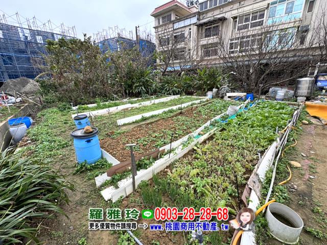 桃園觀音建地-11