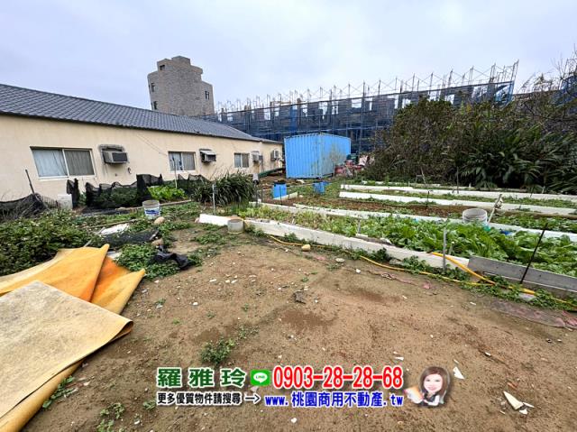 桃園觀音建地-12