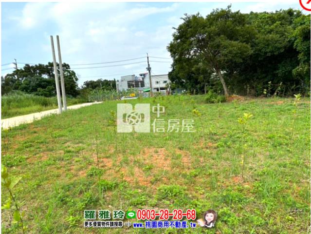 桃園平鎮農地-2