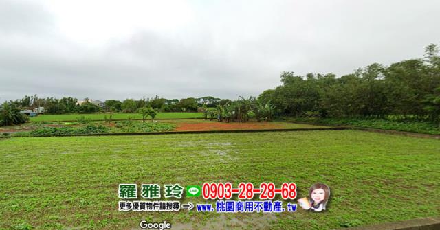 桃園觀音農地-1