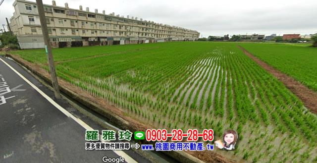 桃園觀音農地-2