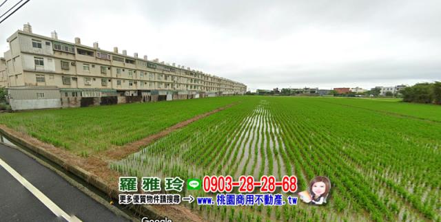 桃園觀音農地-3