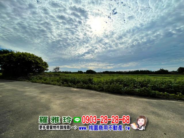 大園農地-0