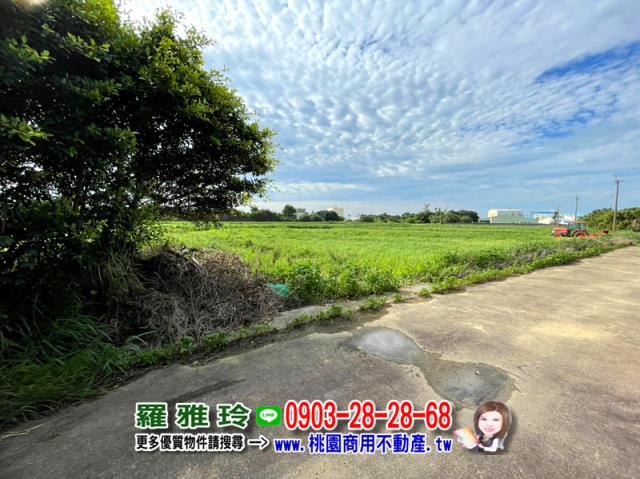 大園農地-1