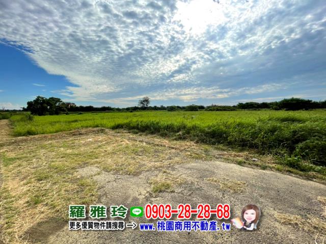 大園農地-2