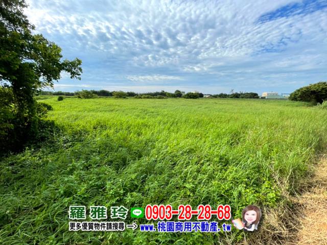 大園農地-5