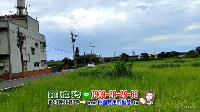 新屋農地-4