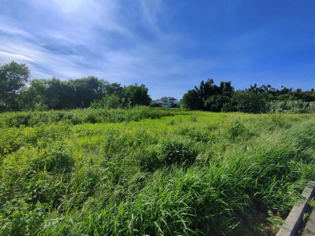 桃園中壢農地-3