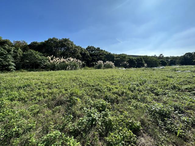 中壢農地-2