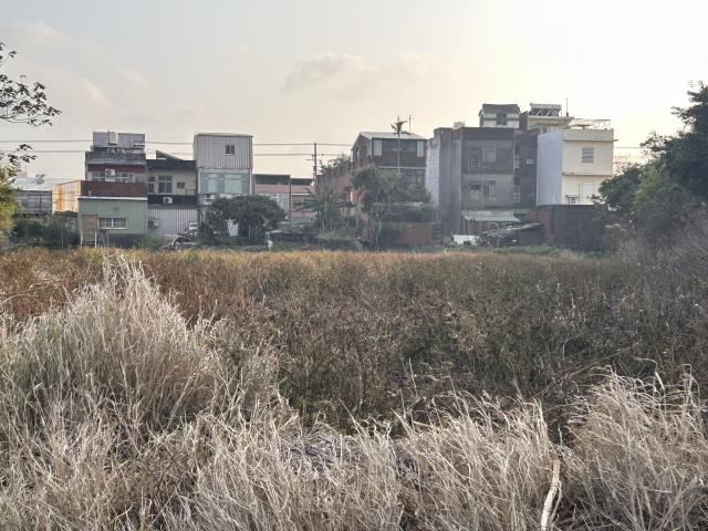 中壢農地-9