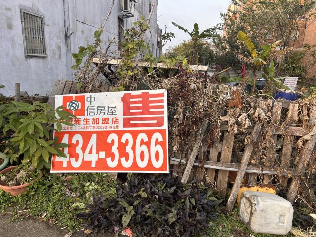 中壢農地-11