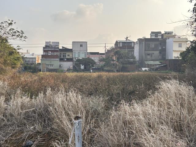 中壢農地-8