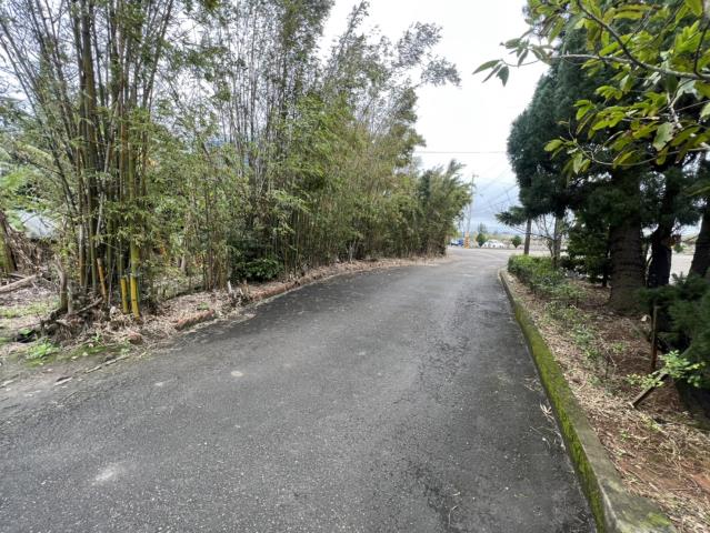 楊梅建地-2