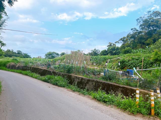 楊梅農地-2